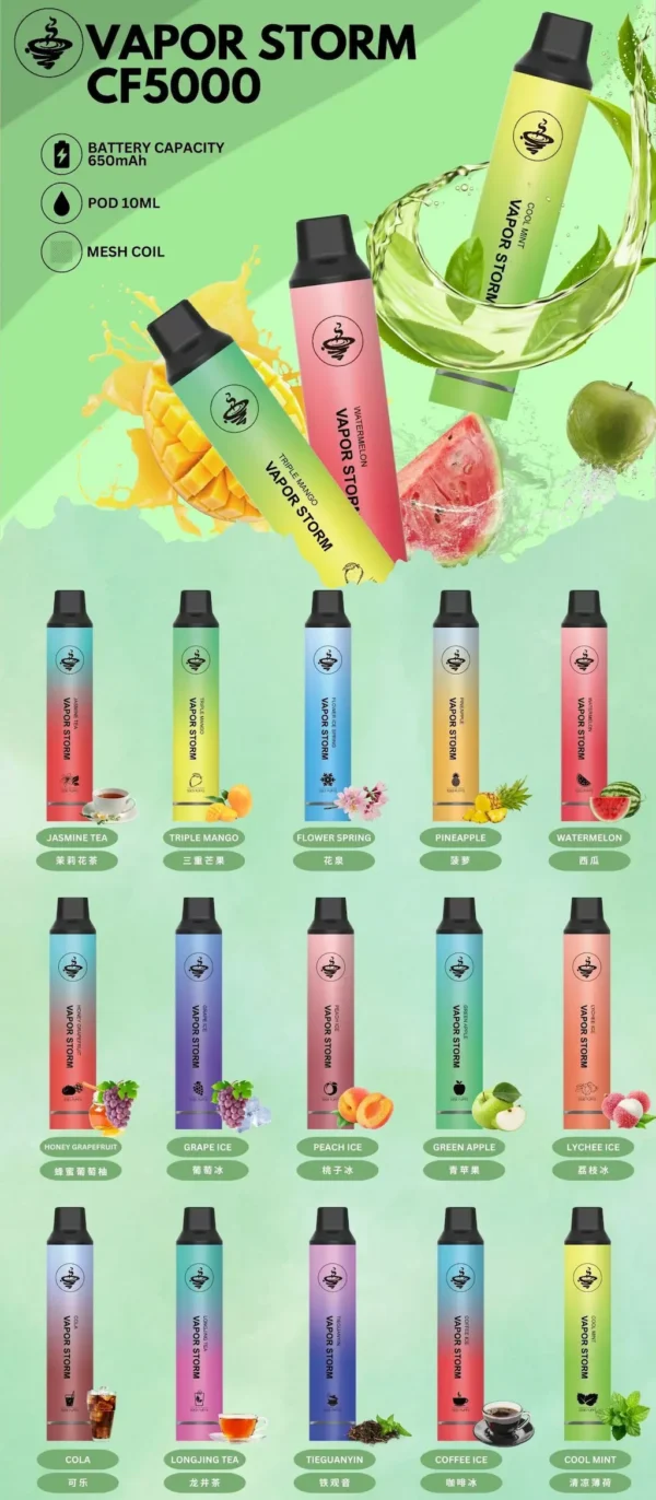 VAPOR STORM 風暴 5000口 拋棄式電子煙｜金屬質感機身＋Mesh 芯強勁霧化，10ml 大容量搭配 650mAh 可充電續航